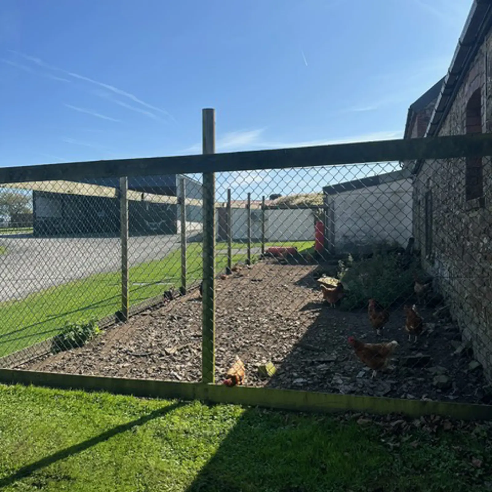 Lodge Farm Holiday Park — photo 5